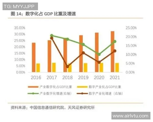 武汉排球队转型之路的挑战与机遇探索特别报道